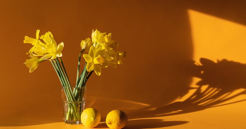 10 recettes maison pour fortifier les ongles naturellement