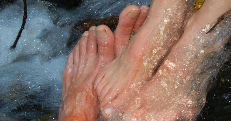 Le retour du naturel ne signifie pas absence de travail